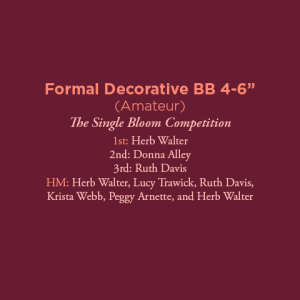 Formal Decorative BB 4 Amateur